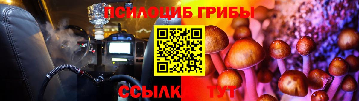 Псилоцибиновые грибы прущие грибы Уссурийск